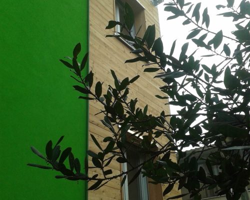 facciata Sud PArticolare 01
